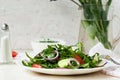 Lettuce mix of rukolly, tomatoes, cucumbers with rings of red on Royalty Free Stock Photo