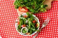 Lettuce mix of rukolly, tomatoes, cucumbers with rings of red on Royalty Free Stock Photo