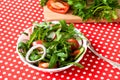 Lettuce mix of rukolly, tomatoes, cucumbers with rings of red on Royalty Free Stock Photo