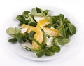 Lettuce, orange and feta cheese Royalty Free Stock Photo