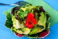 Lettuce salad with edible nasturtium flower on blue table Royalty Free Stock Photo