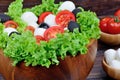Lettuce salad with mozzarella and tomato in a bowl on table Royalty Free Stock Photo