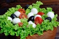 Lettuce salad with mozzarella tomato and olive in a bowl Royalty Free Stock Photo