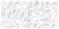 Lettuce and salad outline vector set of icon.outline vector set illustration leaf of lettuce. Isolated illustration Royalty Free Stock Photo