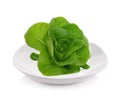 Lettuce salad on platei solated on white background