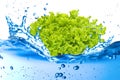 Lettuce splash Royalty Free Stock Photo