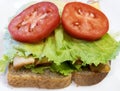 Lettuce, tomato, chicken sandwich on whole wheat Royalty Free Stock Photo