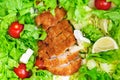 Lettuce,tomatoes,lemon and chicken.Nutrient rich food cocept