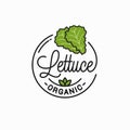 Lettuce Vegetable Logo. Round Linear Of Lettuce