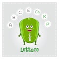 Lettuce vegetable vitamins and minerals. Funny vegetable character. Healthy food illustration