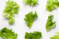 Lettuce on white background Royalty Free Stock Photo