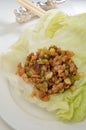 Lettuce wrap meat Royalty Free Stock Photo