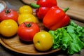 lettuce, yellow and red tomatoes and bell pepper with water drops. cucumbers. Royalty Free Stock Photo