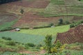 agriculture view landscape