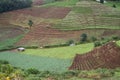 agriculture view landscape beautiful cloud background