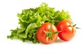 Lettuces salad with tomatoes