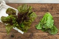 Lettuces on a wooden table