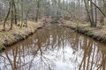 Leubeek river in the Leudal nature reserve with fallen tree trunks in the misty and blurred background Royalty Free Stock Photo