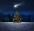 Leuchtender Weihnachtsbaum im Schnee bei Nacht an Heiligabend Royalty Free Stock Photo