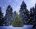 Leuchtender Weihnachtsbaum im Schnee bei Nacht an Heiligabend Royalty Free Stock Photo