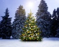 Leuchtender Weihnachtsbaum im Schnee bei Nacht an Heiligabend Royalty Free Stock Photo