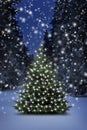 Leuchtender Weihnachtsbaum im Schnee bei Nacht an Heiligabend Royalty Free Stock Photo