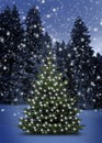 Leuchtender Weihnachtsbaum im Schnee Royalty Free Stock Photo