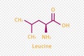 Leucine chemical formula. Leucine structural chemical formula isolated on transparent background.