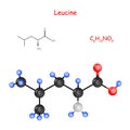 Leucine. Chemical structural formula and model of molecule