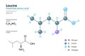 Leucine. Leu C6H13NO2. Essential Amino Acid. Structural Chemical Formula and Molecule 3d Model. Atoms with Color Coding. Vector
