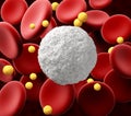 leucocyte with Red Blood Cell and Platelets. Medical Background, 3d Illustration