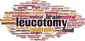 Leucotomy word cloud Royalty Free Stock Photo