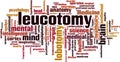 Leucotomy word cloud Royalty Free Stock Photo