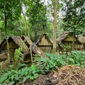 the leuit, is the name for the barn for food reserves. The leuit is a Baduy culture to store food reserves.