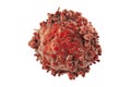 Leukaemia blood cell isolated on white background