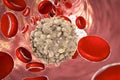 Leukaemia white blood cell