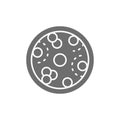 Leukemia, blood cells with cancer virus, oncology grey icon.