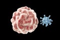 Leukocyte engulfing virus Royalty Free Stock Photo