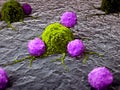 Leukocytes attacking a cancer cell Royalty Free Stock Photo