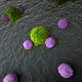 Leukocytes attacking a cancer cell Royalty Free Stock Photo