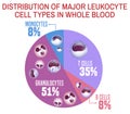 Leukocytes types scheme Royalty Free Stock Photo