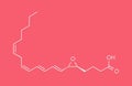 leukotriene A4 LTA4 molecule. Skeletal formula. Royalty Free Stock Photo