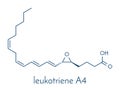 leukotriene A4 LTA4 molecule. Skeletal formula. Royalty Free Stock Photo