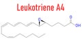 Leukotriene A4 or LTA4 molecule. Skeletal formula. Royalty Free Stock Photo