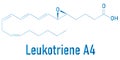 Leukotriene A4 or LTA4 molecule. Skeletal formula. Royalty Free Stock Photo