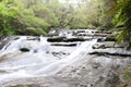 Leura cascade Royalty Free Stock Photo