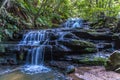 The Leura Cascades, Blue Mountains National Park, NSW, Australia Royalty Free Stock Photo