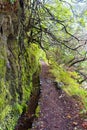 Levada Caldeiro Inferno