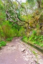 Levada das 25 fontes and levada do risco