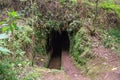 Levada Dos Tornos, Madeira